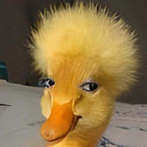 Meet your Posher, Khoi